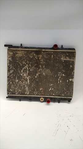 Foto 2ª: Radiador Motor Citroen Xsara 2.0 HDI PICASSO [D/RHY] (2005)