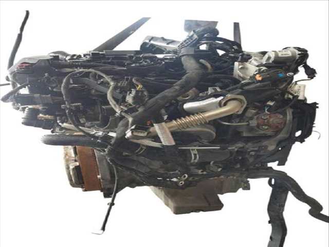 Foto 3ª: Motor Completo Ford Transit 1.5 TDCI FURGONETA (2014)