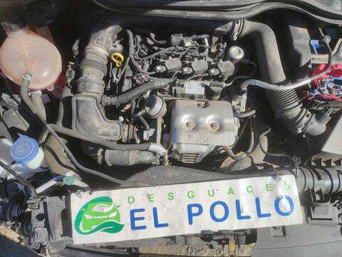Foto 3ª: Caja Cambios Ford Fiesta TREND 101CV 74KW (2017)