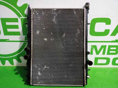 Foto 3ª: Radiador Motor Peugeot 206 E-MUSIC BERLINA 75CV 55KW (2004)