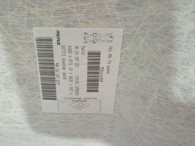 Foto 3ª: Techo Interior Peugeot 3008 GT 130CV 96KW [YH01] (2021)