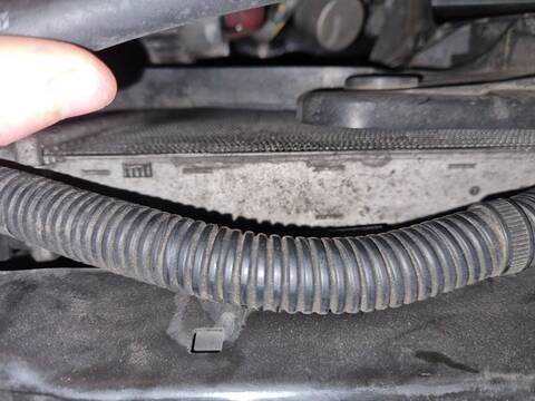 Foto 1ª: Radiador Motor Nissan Qashqai ACENTA 150CV 110KW [M9R] (2007)