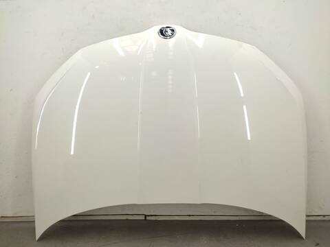 Capot Skoda Fabia 1.4 TDI 75CV 55KW