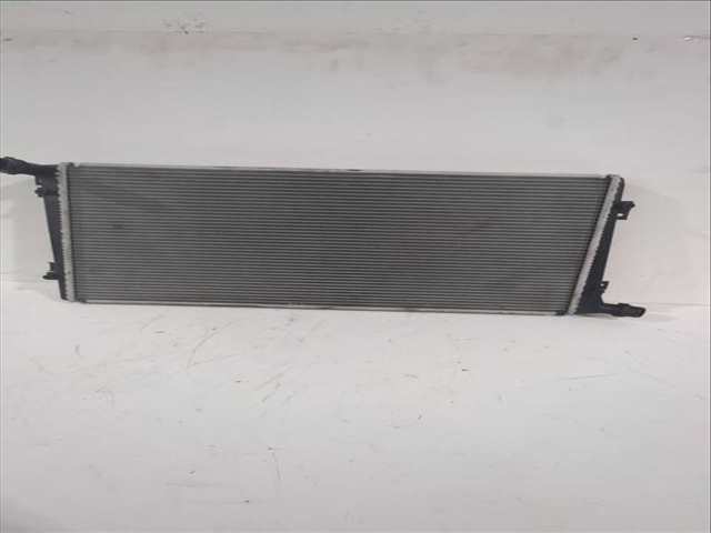 Foto 1ª: Radiador Motor Seat Leon 1.9 TDI 105CV 77KW [BKC,BLS,BXE] (2009)