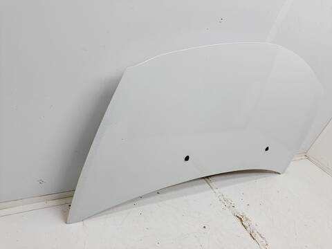 Foto 4ª: Capot Renault Clio EXCEPTION 75CV 55KW [D4F D7] (2009)