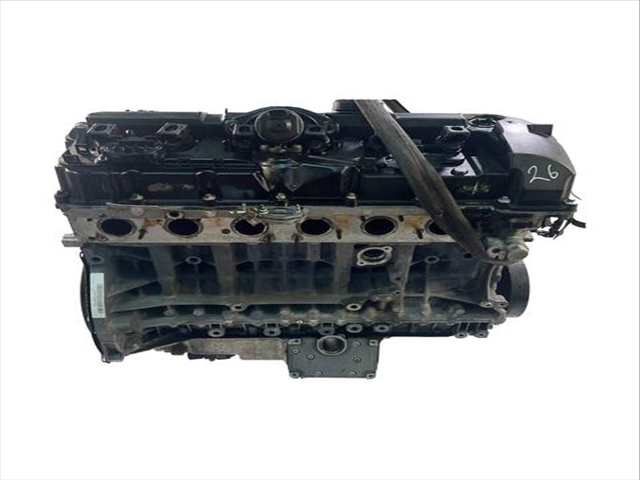 Foto 1ª: Motor Completo Bmw Serie 3 315 234 CV 172KW [N52B30A]