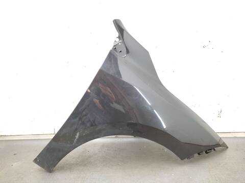 Aleta Delantera Derecha Renault Megane 1.6 16V BZ1B BZ1H) HATCHBACK 110CV 81KW III HATCHBACK BZ0/1_ B3_)