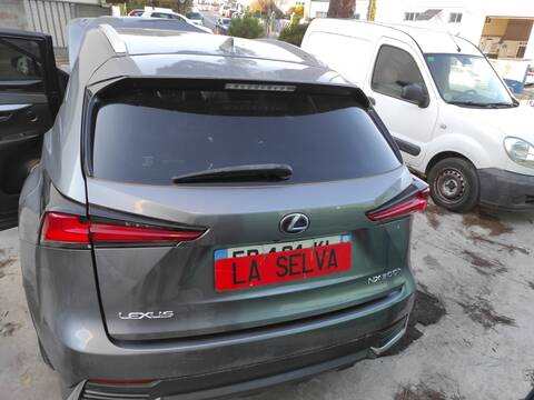 Foto 2ª: Portón Lexus NX 2ARFXE (2020)