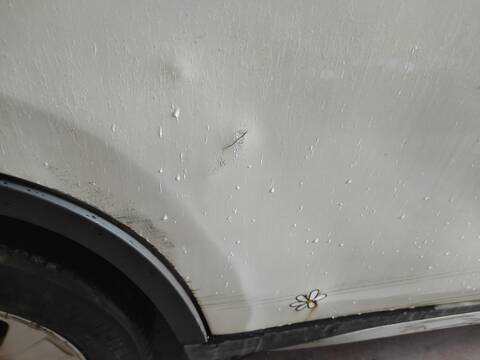 Foto 2ª: Puerta Trasera Derecha Bmw X1 2.0 D E84) 177CV 130KW N47D20C (2010)