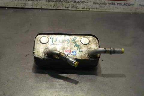 Radiador Aceite Bmw X3 2.0D 177CV 130KW