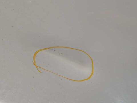 Foto 4ª: Puerta Delantera Derecha Nissan NV200 1.5 DCI CAT [K9K646] (2009)