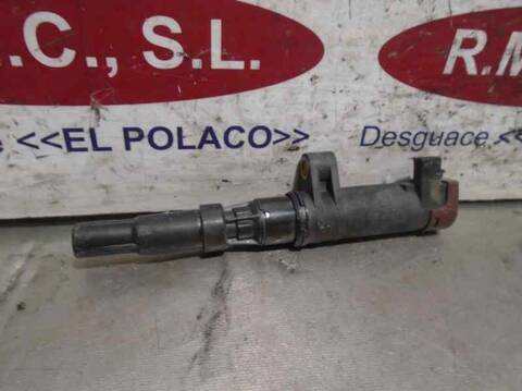 Modulo Encendido Renault Clio AUTHENTIQUE 98CV 72KW