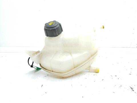 Deposito Expansion Renault Kadjar BOSE EDITION 130CV 96KW