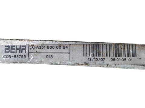 Foto 1ª: Radiador Motor Mercedes Clase ML 280 CDI 4-MATIC W164) 164.120 (2005)