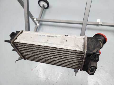 Foto 3ª: Intercooler DS 4 SPORT 165CV 121KW [5G01] (2019)