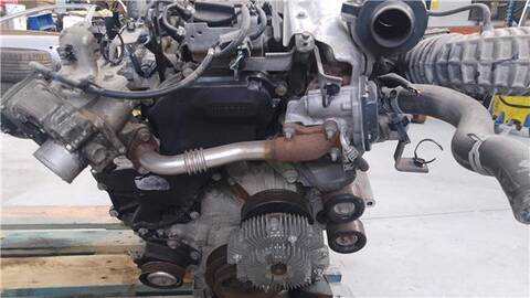 Motor Completo Nissan Navara 2.5 DOBLE CAB LE 4X4 [2 5 LTR. - 140 KW DCI DIESEL CAT] 190CV