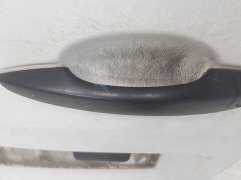 Foto 3ª: Puerta Trasera Izquierda Peugeot Expert PRO STANDARD (1996)