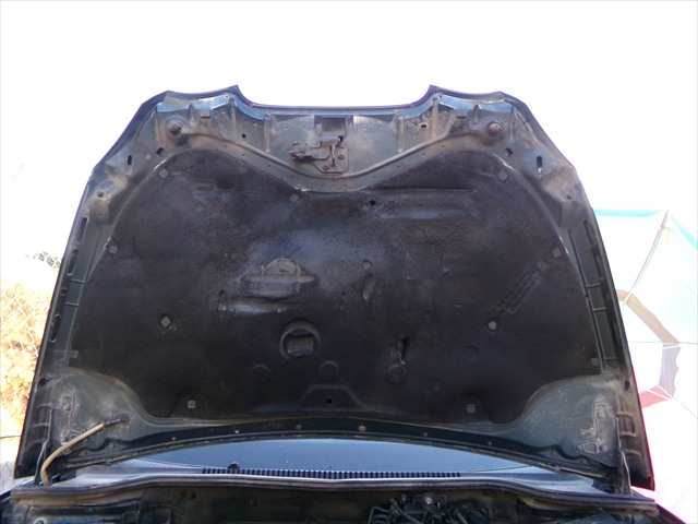 Foto 2ª: Capot Seat Leon 2.0 TDI SERIE 2,2005-2013 [BKD] (2006)