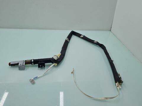 Foto 1ª: Airbag Cortina Delantero Derecho Nissan Qashqai ACENTA 4X4 131CV 96KW [R9M] (2009)