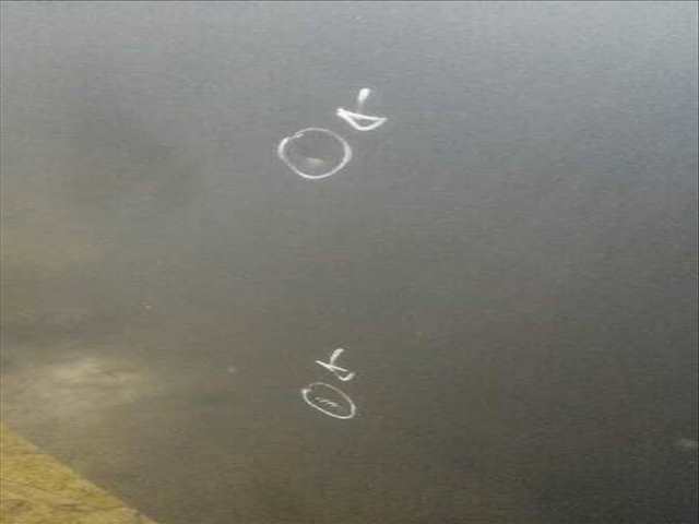 Foto 3ª: Capot Peugeot 406 SRDT BERLINA 109CV 80KW [RHZ] (2001)