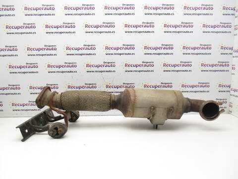 Catalizador Ford S Max QXWB CA1)
