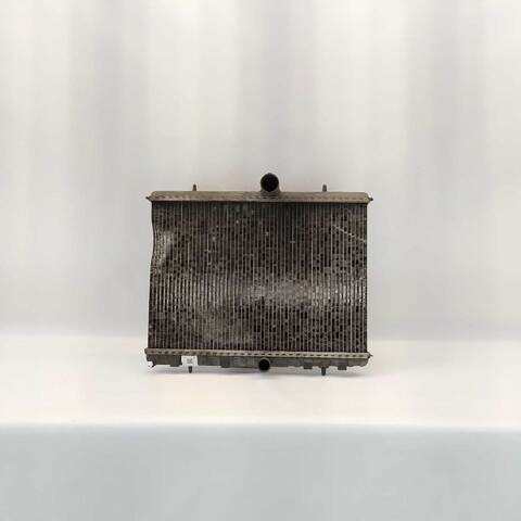 Foto 1ª: Radiador Motor Peugeot Expert 1.6 HDI 90 16V (2007)