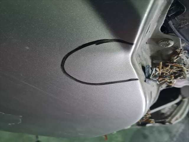 Foto 2ª: Aleta Delantera Derecha Citroen Nemo SX 68CV 50KW [8HS] (2009)