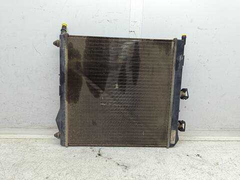 Foto 2ª: Radiador Motor Citroen C2 AUDACE 60CV 44KW [HFX] (2004)