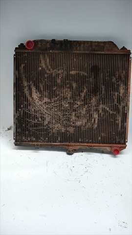 Foto 4ª: Radiador Motor Opel Monterey 3.1 D [D/4JG2] (1992)