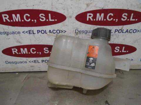 Deposito Expansion Nissan Qashqai 360 116CV 85KW