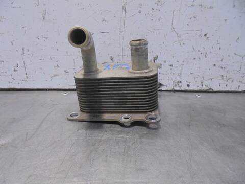 Foto 3ª: Radiador Aceite Ford Focus AMBIENTE BERLINA 90CV 66KW [C9DA] (2000)