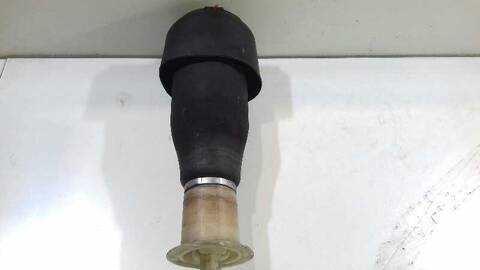 Foto 1ª: Amortiguador Trasero Izquierdo Bmw Serie 5 518 550I XDRIVE 408CV 300KW [N63B44A] (2010)