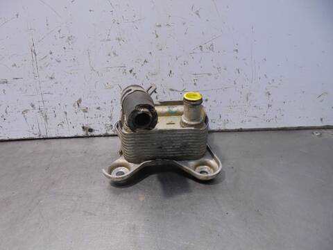 Foto 1ª: Radiador Aceite Ford Focus AMBIENTE BERLINA 90CV 66KW [C9DA] (2000)