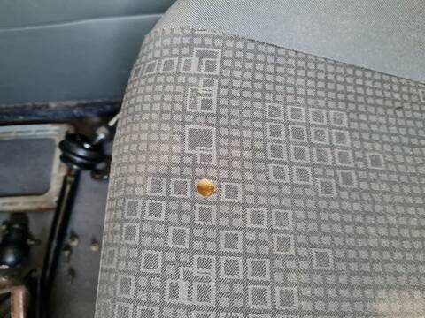 Foto 2ª: Asiento Delantero Derecho Santana 300 2.0 TDI 4X4 87CV 64KW [RHP] (2006)
