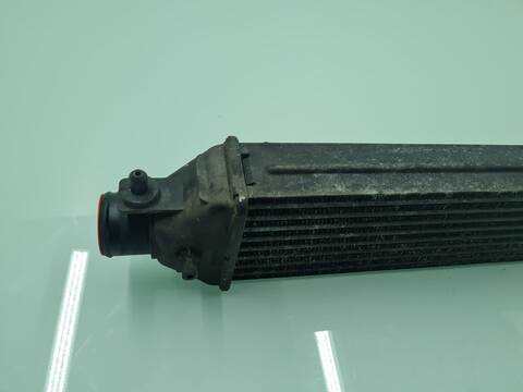 Foto 3ª: Intercooler Lancia Delta GOLD 120CV 88KW [198A2000] (2008)