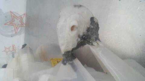 Foto 4ª: Faro Derecho Smart Coupe COUPE (1998)