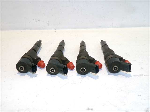 Foto 3ª: Inyectores Citroen Xsara 2.0 HDI 1999-2010 [RHY] (2002)