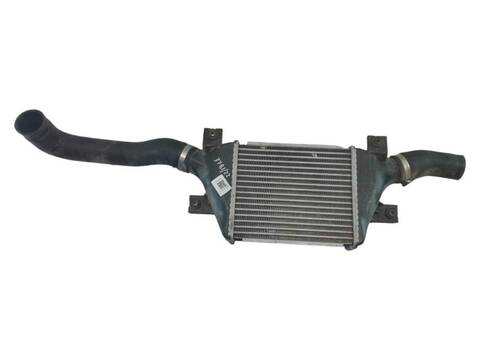 Foto 2ª: Intercooler Citroen C4 1.6 HDI 115 AIRCROSS (2010)