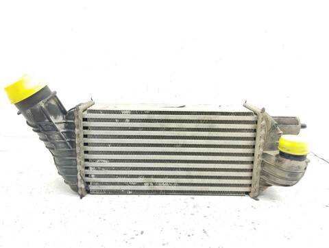 Intercooler Citroen C4 EXCLUSIVE PICASSO 150CV 110KW