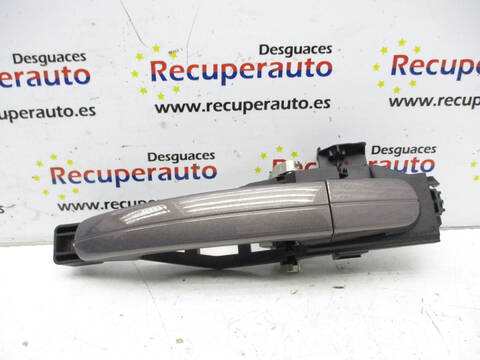 Maneta Exterior Trasera Izquierda Ford C Max T3DA CEU)