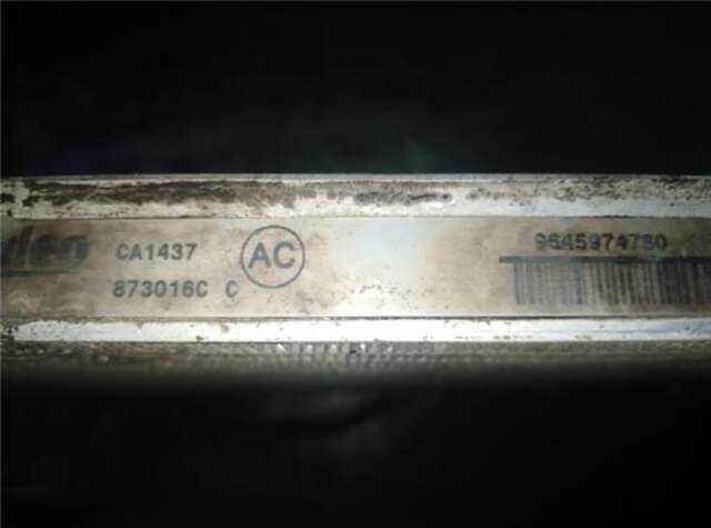 Radiador Calefaccion A.A. Citroen Berlingo 1.9 D (MFWJZ)
