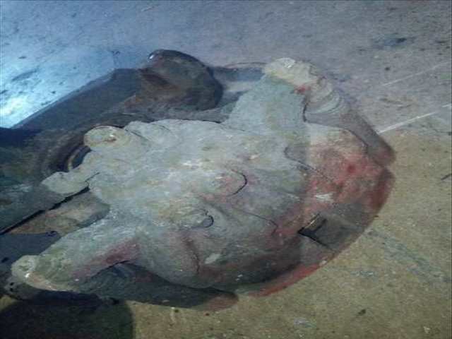 Foto 4ª: Mangueta Delantera Derecha Honda Civic 2.2 I-CTDI COMFORT BERLINA 140CV 103KW [N22A2] (2010)