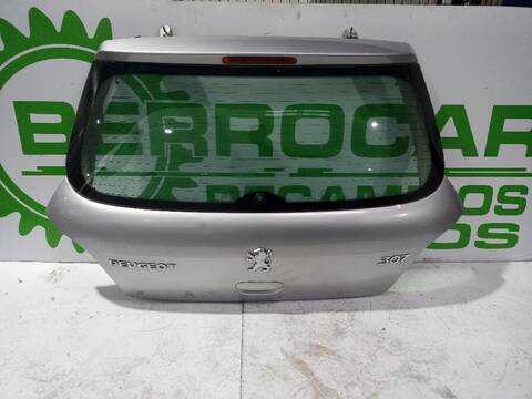 Portón Peugeot 307 XN 109CV