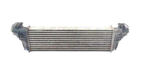 Foto 3ª: Intercooler Bmw X5 3.0 D (2000)