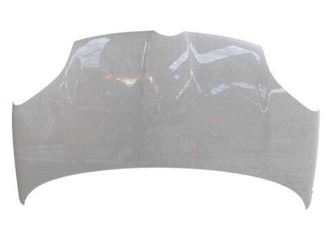 Foto 1ª: Capot Fiat Panda 1.0 MILD HYBRID 312.PYD1B) (2012)