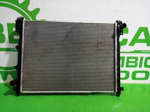 Foto 1ª: Radiador Motor Land Rover Freelander E TARGA 112CV 82KW [204D3] (2002)