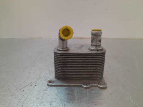 Foto 1ª: Radiador Aceite Ford Focus AMBIENTE BERLINA 90CV 66KW [C9DB] (2002)