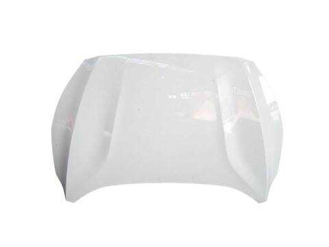 Foto 2ª: Capot Ford Focus 1.0 ECOBOOST (2018)