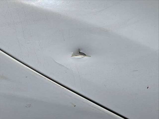 Foto 2ª: Puerta Trasera Derecha Ford Focus T1DA BERLINA (2011)