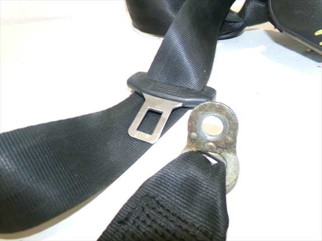 Foto 3ª: Cinturón Trasero Izquierdo Seat Altea 1.9 TDI 2005-2013 [BLS] (2009)
